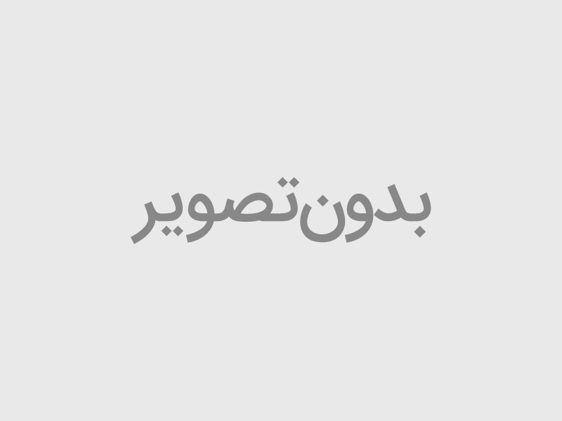 سبد گارد محافظ انواع گوشی ها (بصورت عمده) 175 تایی